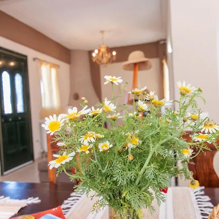 Villa Leiland *